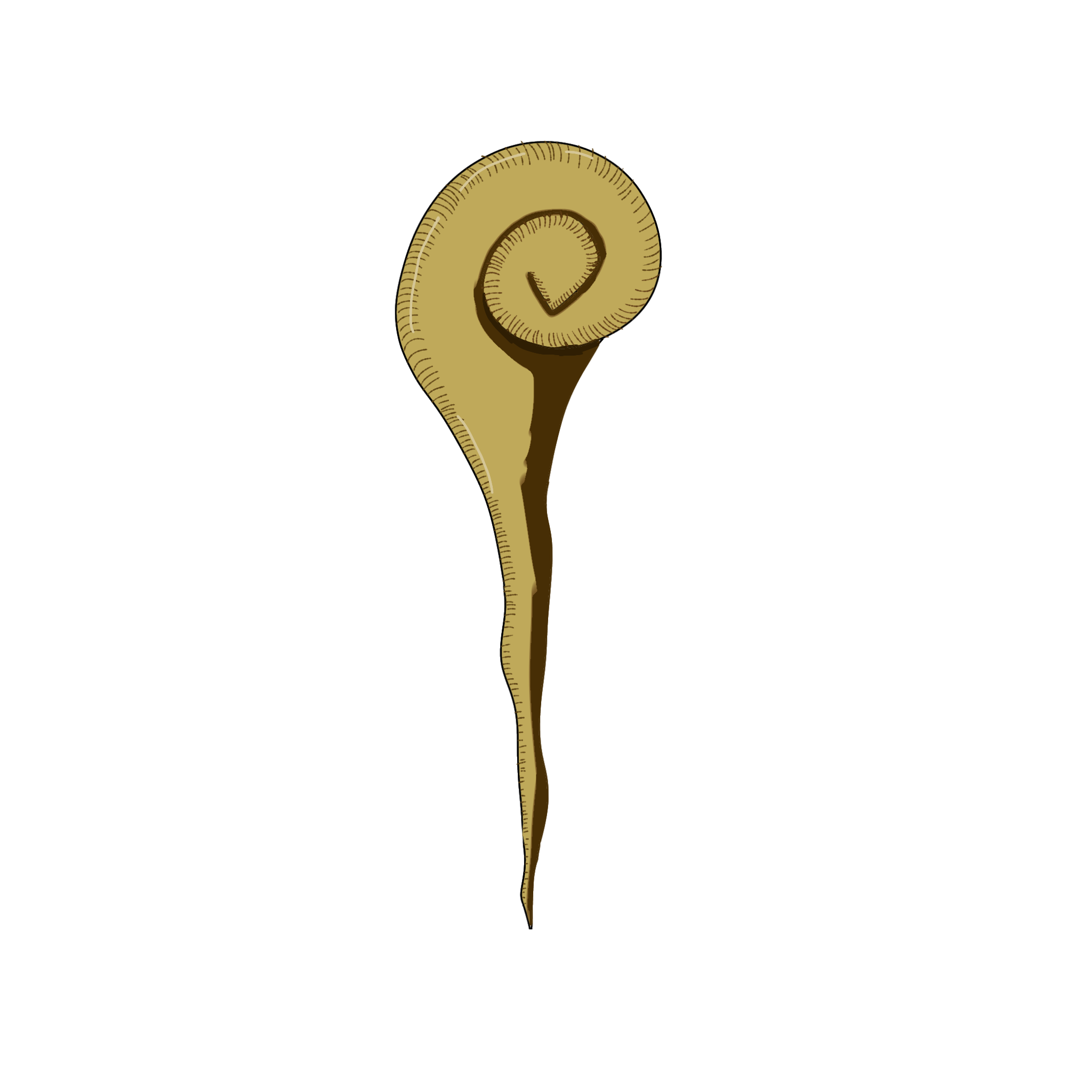 杖